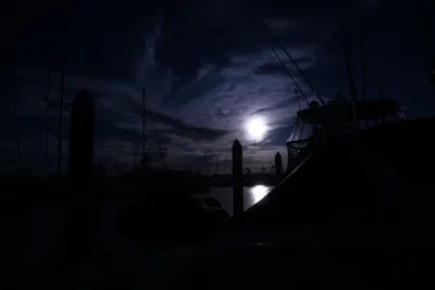 DSC_0887 (Large).JPG